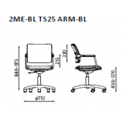 Scaun Pivotant  de Conferintă 2ME-BL TS25 ARM-BL
